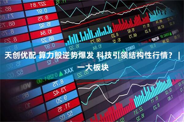 天创优配 算力股逆势爆发 科技引领结构性行情? | 一大板块