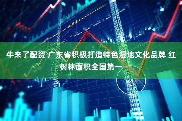 牛来了配资 广东省积极打造特色湿地文化品牌 红树林面积全国第一