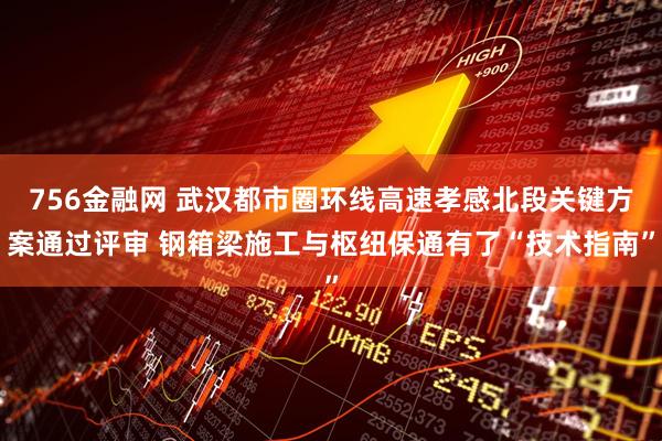 756金融网 武汉都市圈环线高速孝感北段关键方案通过评审 钢箱梁施工与枢纽保通有了“技术指南”