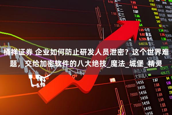 桶祥证券 企业如何防止研发人员泄密？这个世界难题，交给加密软件的八大绝技_魔法_城堡_精灵