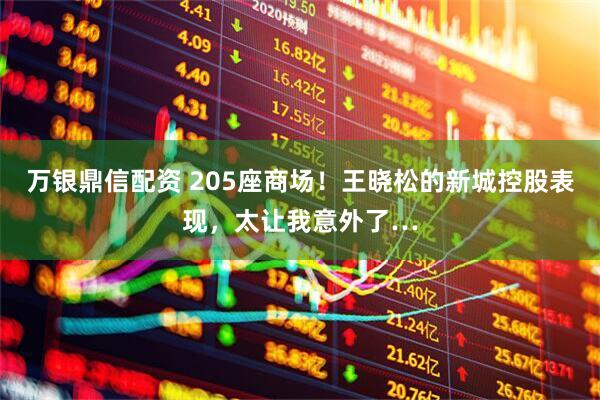 万银鼎信配资 205座商场！王晓松的新城控股表现，太让我意外了…