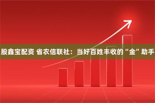 股鑫宝配资 省农信联社:当好百姓丰收的“金”助手