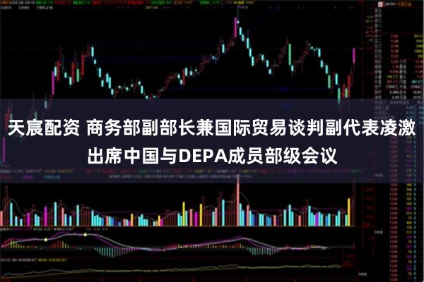 天宸配资 商务部副部长兼国际贸易谈判副代表凌激出席中国与DEPA成员部级会议