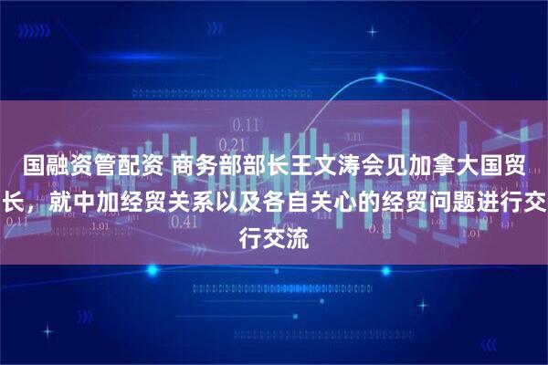 国融资管配资 商务部部长王文涛会见加拿大国贸部长，就中加经贸关系以及各自关心的经贸问题进行交流