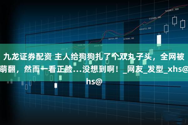 九龙证券配资 主人给狗狗扎了个双丸子头，全网被萌翻，然而一看正脸…没想到啊！_网友_发型_xhs@